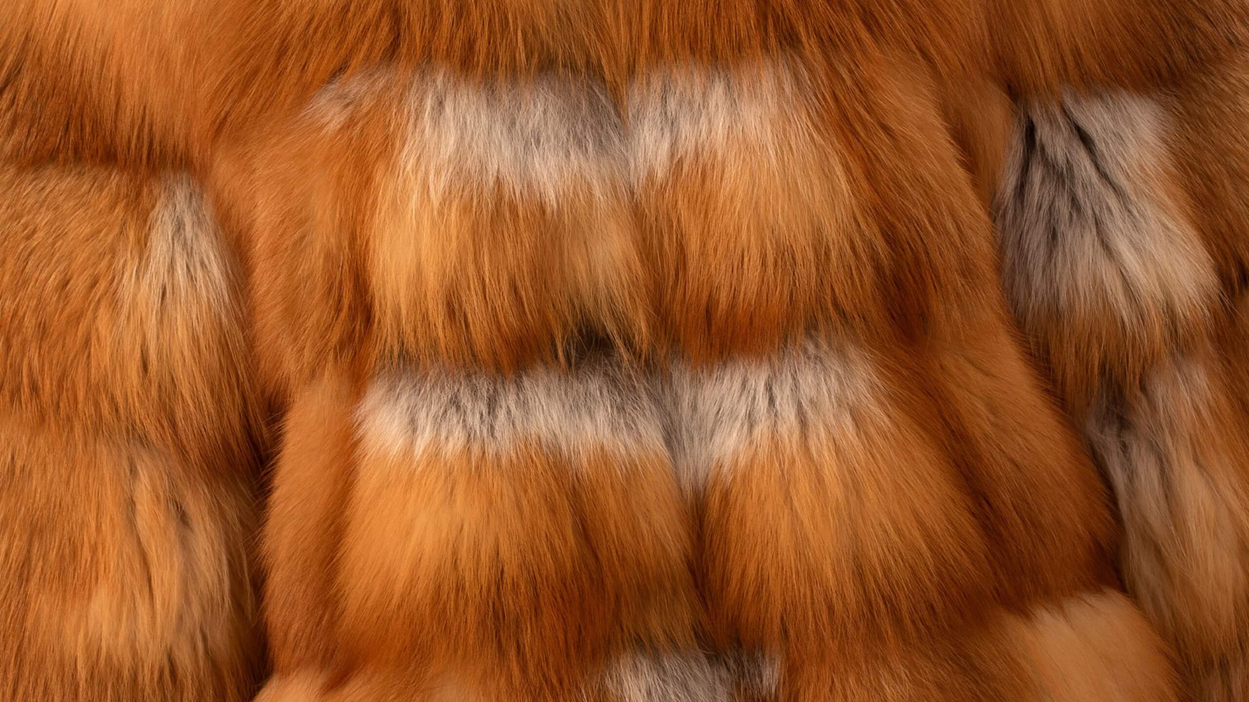 a close up of real fox fur in its natural color