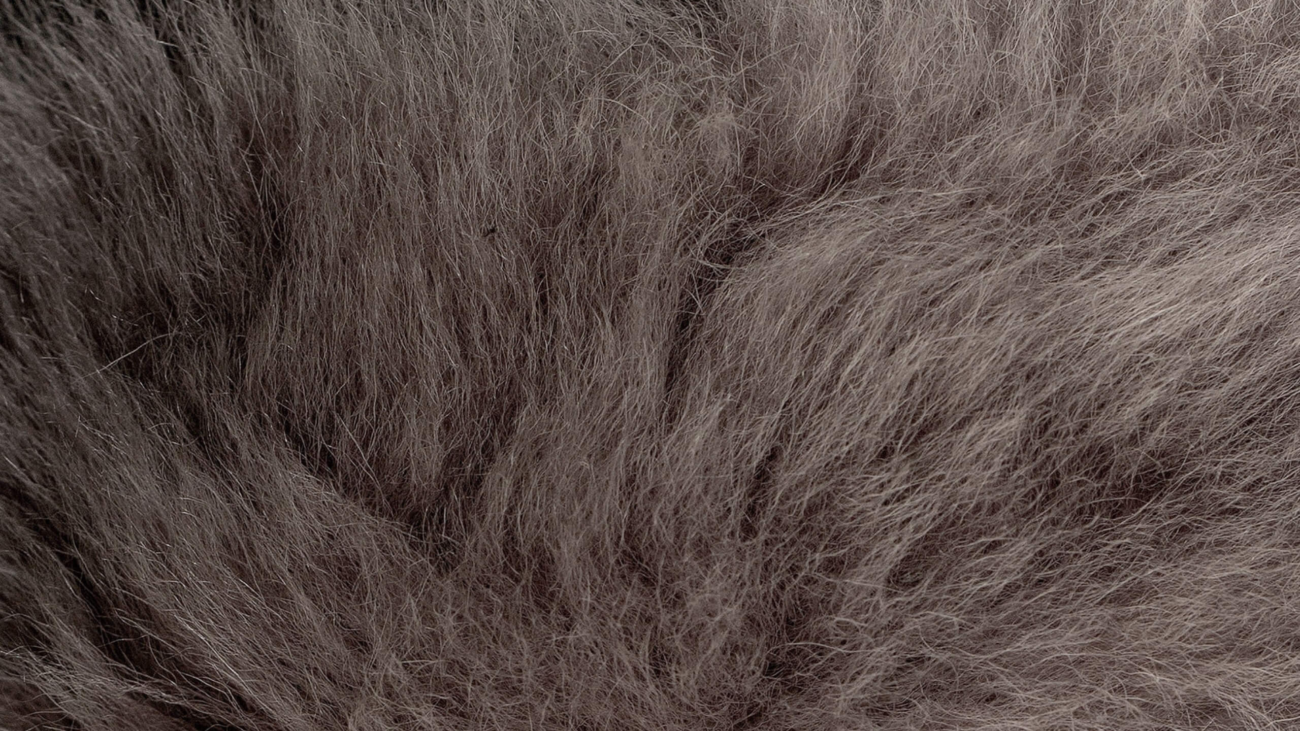 a close up of grey real toscana lambskin